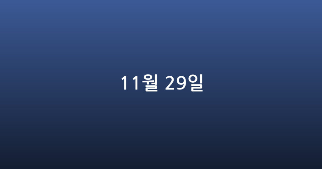 11월 29일 대표 이미지