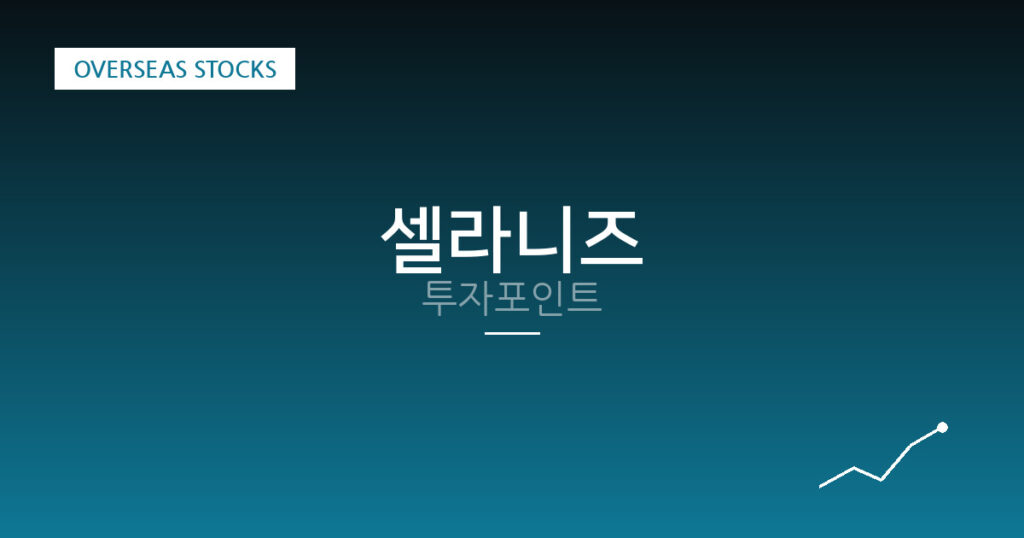 셀라니즈 투자포인트 대표 이미지
