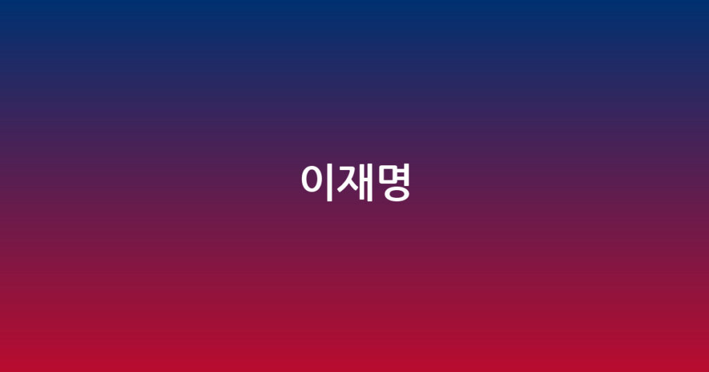 이재명 대표 이미지