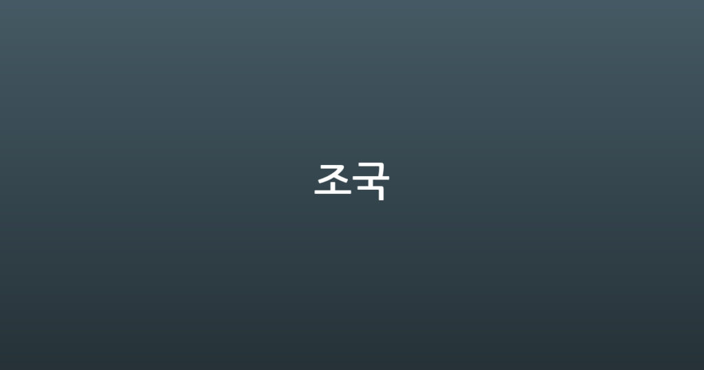 조국 대표 이미지