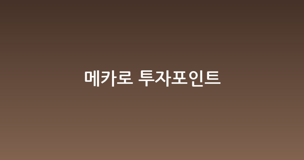 메카로 투자포인트 대표 이미지