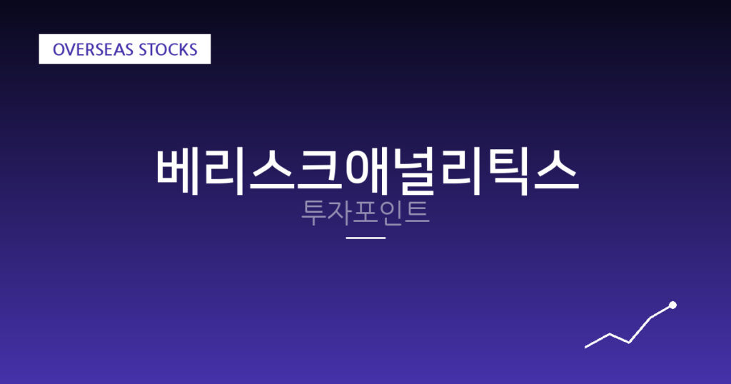 베리스크애널리틱스 투자포인트 대표 이미지