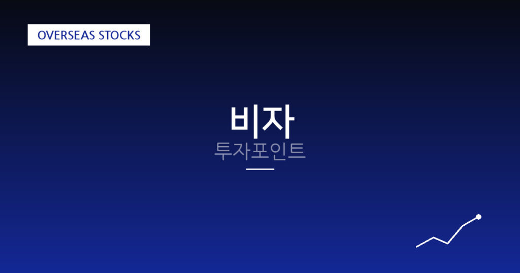 비자 투자포인트 대표 이미지