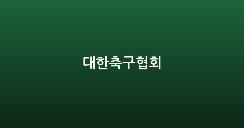 대한축구협회 대표 이미지