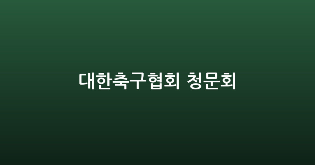 대한축구협회 청문회 대표 이미지