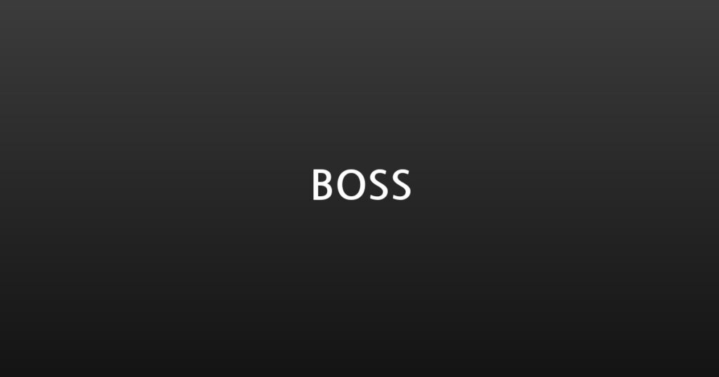 BOSS 대표 이미지