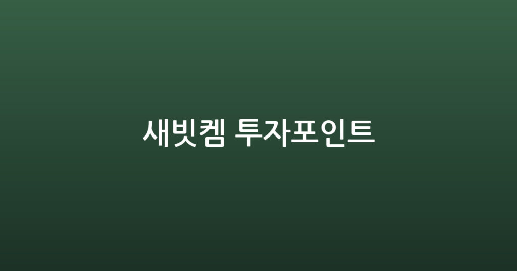 새빗켐 투자포인트 대표 이미지