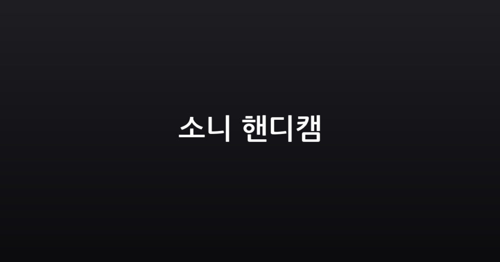 소니 핸디캠 대표 이미지