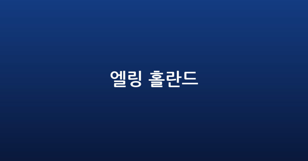 엘링 홀란드 대표 이미지