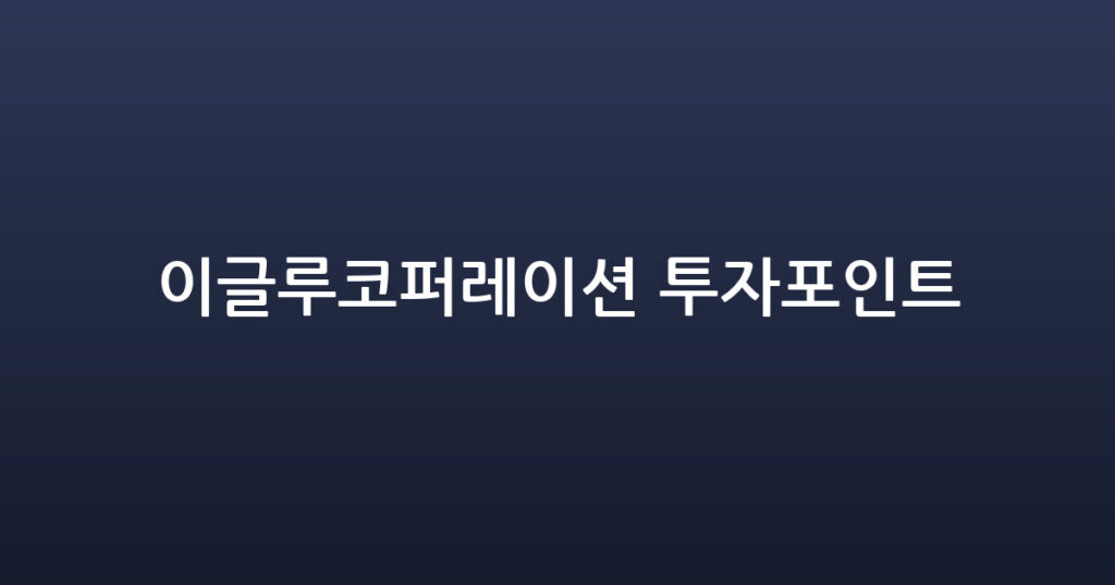이글루코퍼레이션 투자포인트 대표 이미지