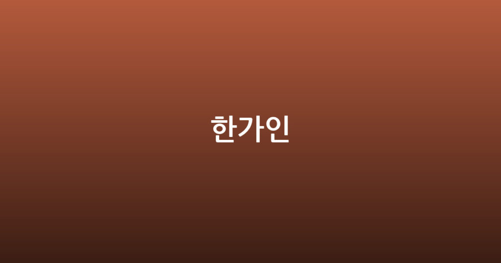 한가인 대표 이미지
